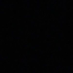 Meet your Posher, Nicki